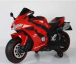 Zoomtastic Kawasaki Ninja