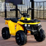 Quad Bike