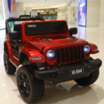 Jeep Wrangler 4X4 - Image 21