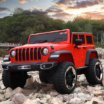 Jeep Wrangler 4X4 - Image 8