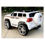 Toyota Landcruiser 300 series 4x4 - Image 6