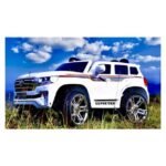 Toyota Landcruiser 300 series 4x4 - Image 9