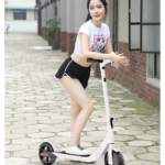 Evomove M5 36V 350W Electric Scooter