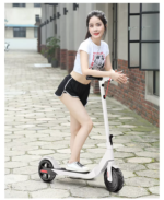 Evomove M5 36V 350W Electric Scooter