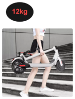 Evomove M5 36V 350W Electric Scooter - Image 2