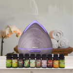 Purespa Diffuser Set With 10 Pack Diffuser Oils Humidifier Aromatherapy - Violet - Image 2