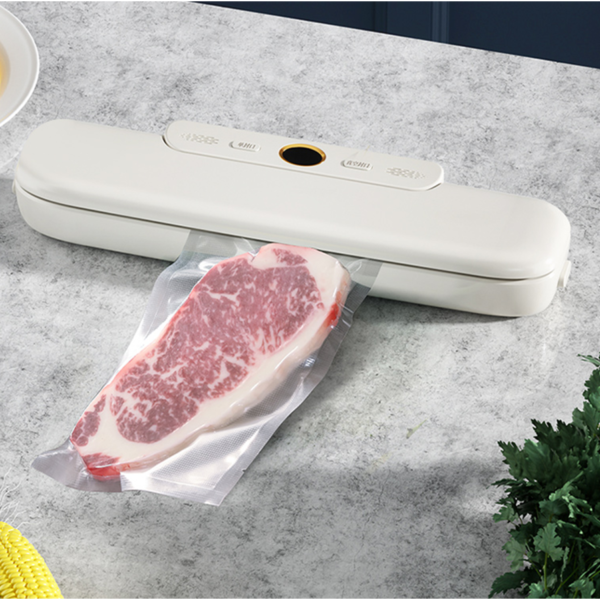 Vacuum Sealer machine; automatic sealer; food storage device